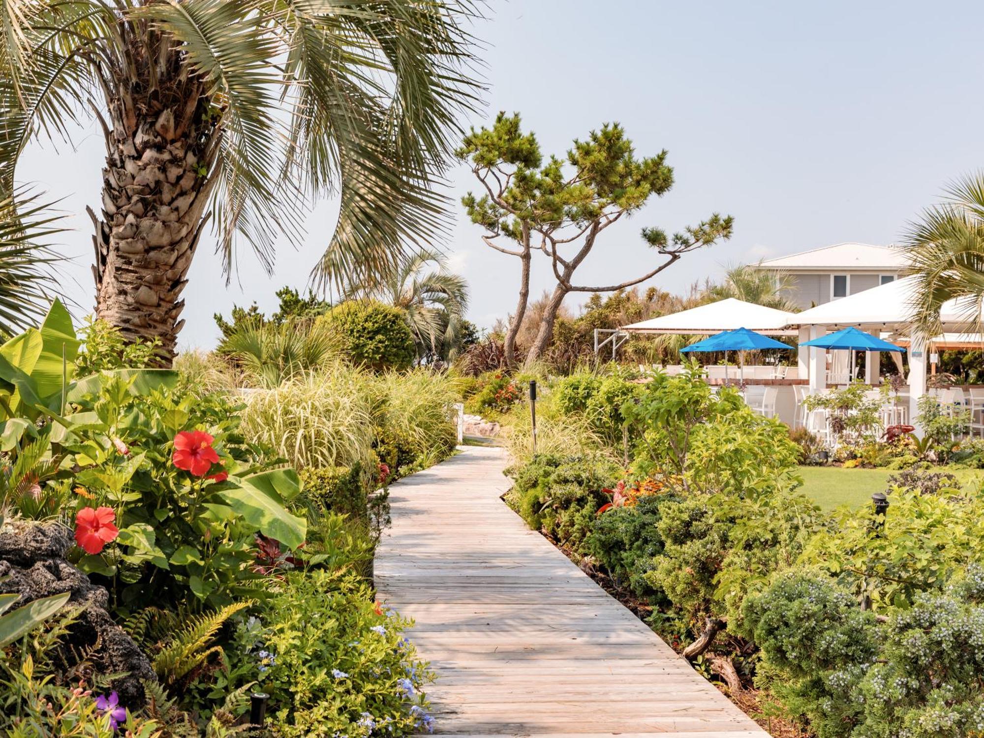 Trailborn Surf & Sound Otel Wrightsville Beach Dış mekan fotoğraf